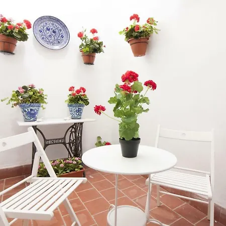 Appartement Center Flat Comedias Street Málaga